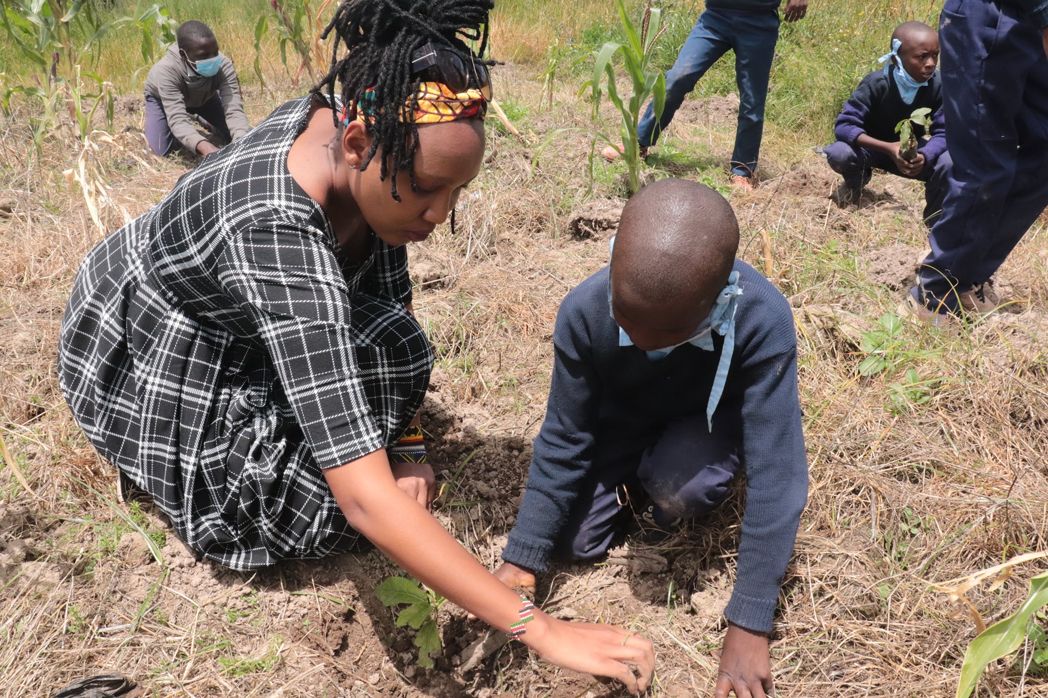 Woman and child plant together a tree in a field