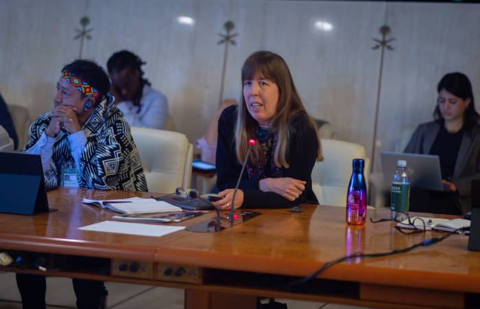 Amanda Bradley, Specialist in tenure, gender and Indigenous Peoples presented the publication at the event &quot;Developing a Roadmap for the Kunming-Montreal Global Biodiversity Framework Target 2&quot; held in FAO headquarters in Rome, November 2023. 