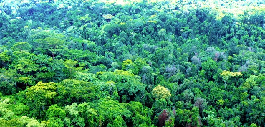 aaa