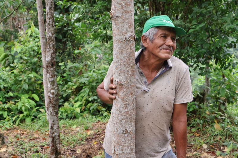 Man and tree