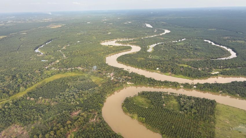 aaa