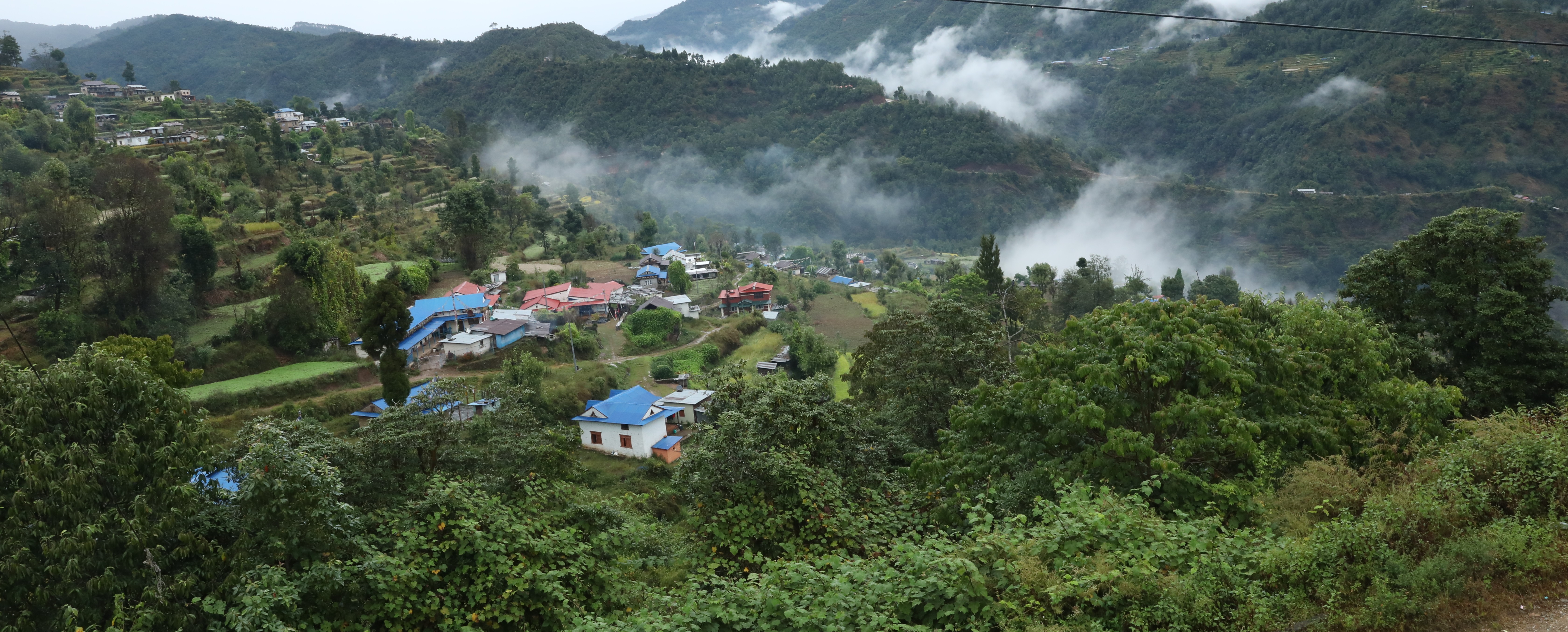 aaaa