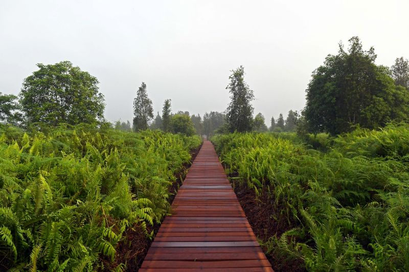 aaaa