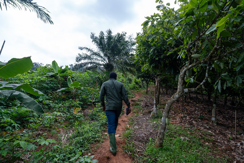 man walking