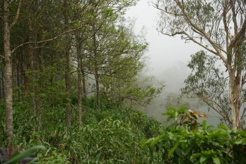 aaaa