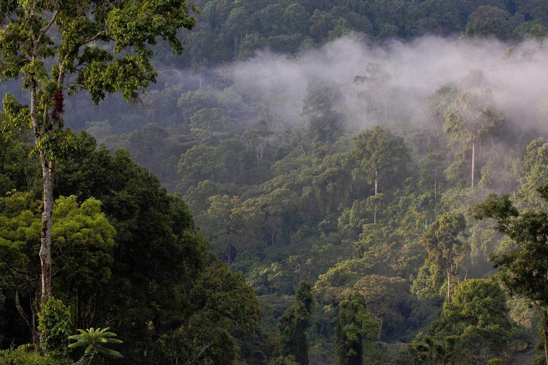 Ethiopia: An Oasis in the Horn