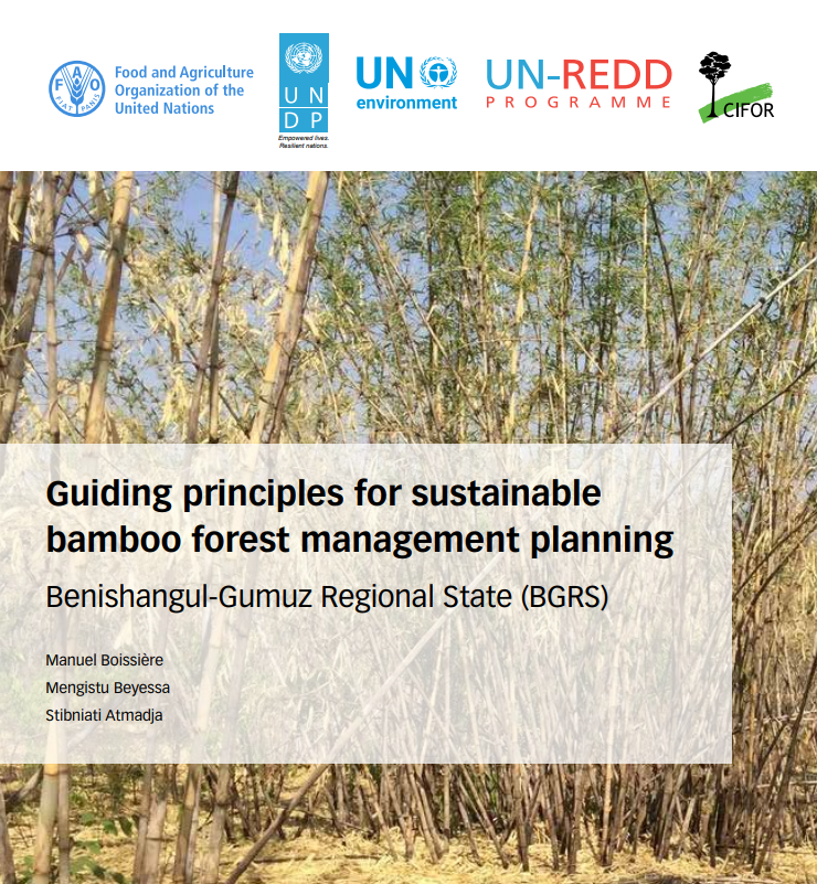 Guiding principles for sustainable bamboo forest management in Benishangul-Gumuz Regional state (BGRS)
