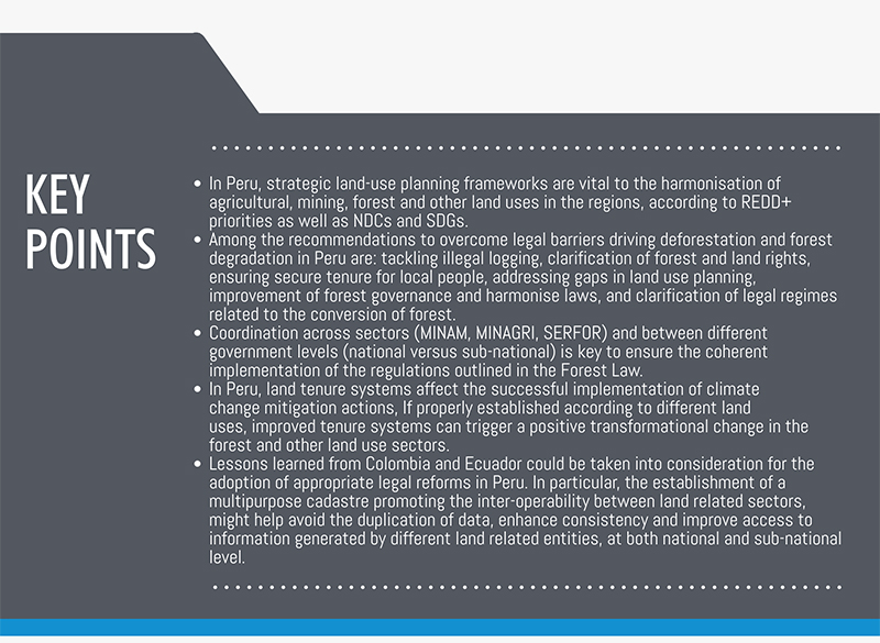 Endorsing Land Use Policy Reforms to Reduce Deforestation and Degradation in Peru