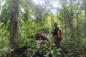 Latin American Journalists Visit Colombia to gain a deeper knowledge about the role of forests in mi
