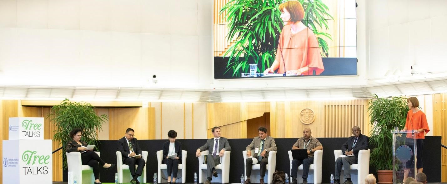 Where Are We Now, After 10 Years of Capacity Development on National Forest Monitoring Systems 