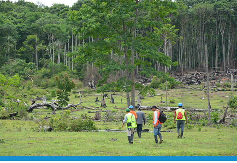 Endorsing Land Use Policy Reforms to Reduce Deforestation and Degradation in Peru