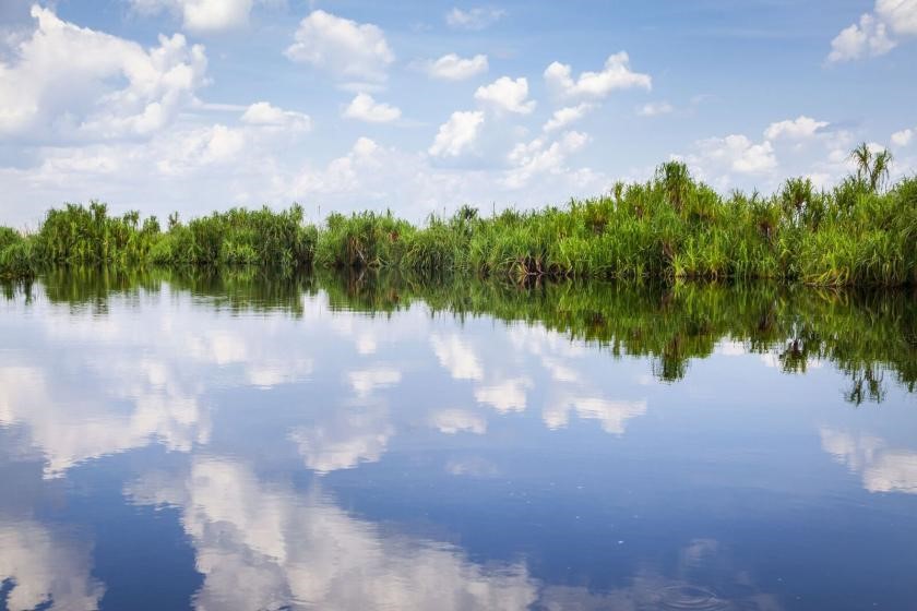 Peatlands in Sebangau National Park, Central Kalimantan. Photo by Andri Tambunan