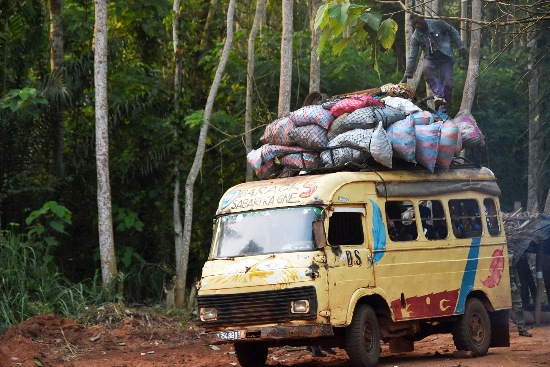 A path to sustainable cocoa and forest restoration in Côte d'Ivoire