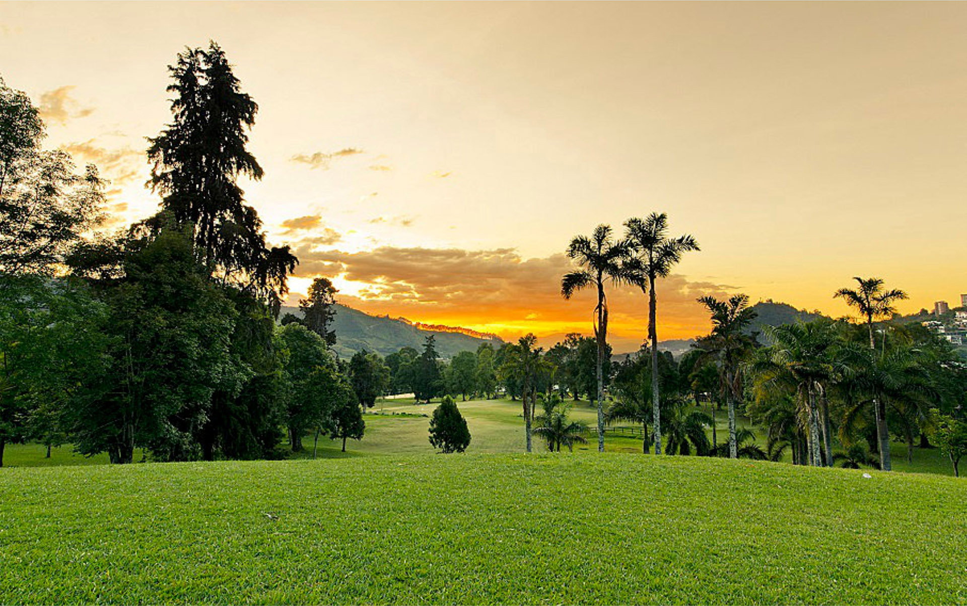 Colombia shifts its focus to forests