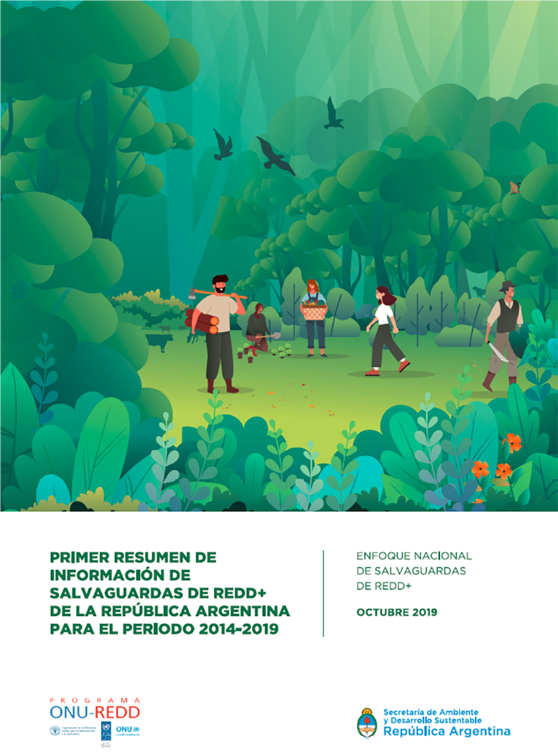 Argentina: well positioned to access results-based payments after completing the REDD+ readiness pha