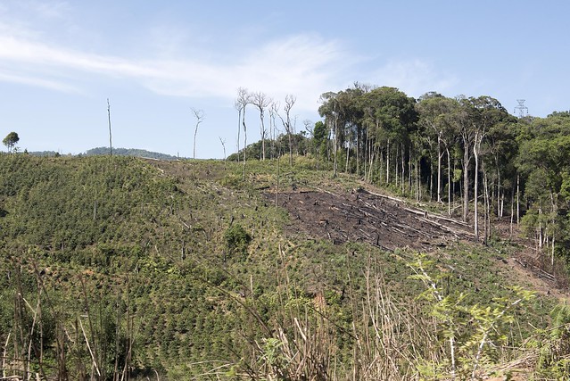 A degraded and deforested area near Da Lat, in Lam Dong Province, Vietnam. April 25, 2019.