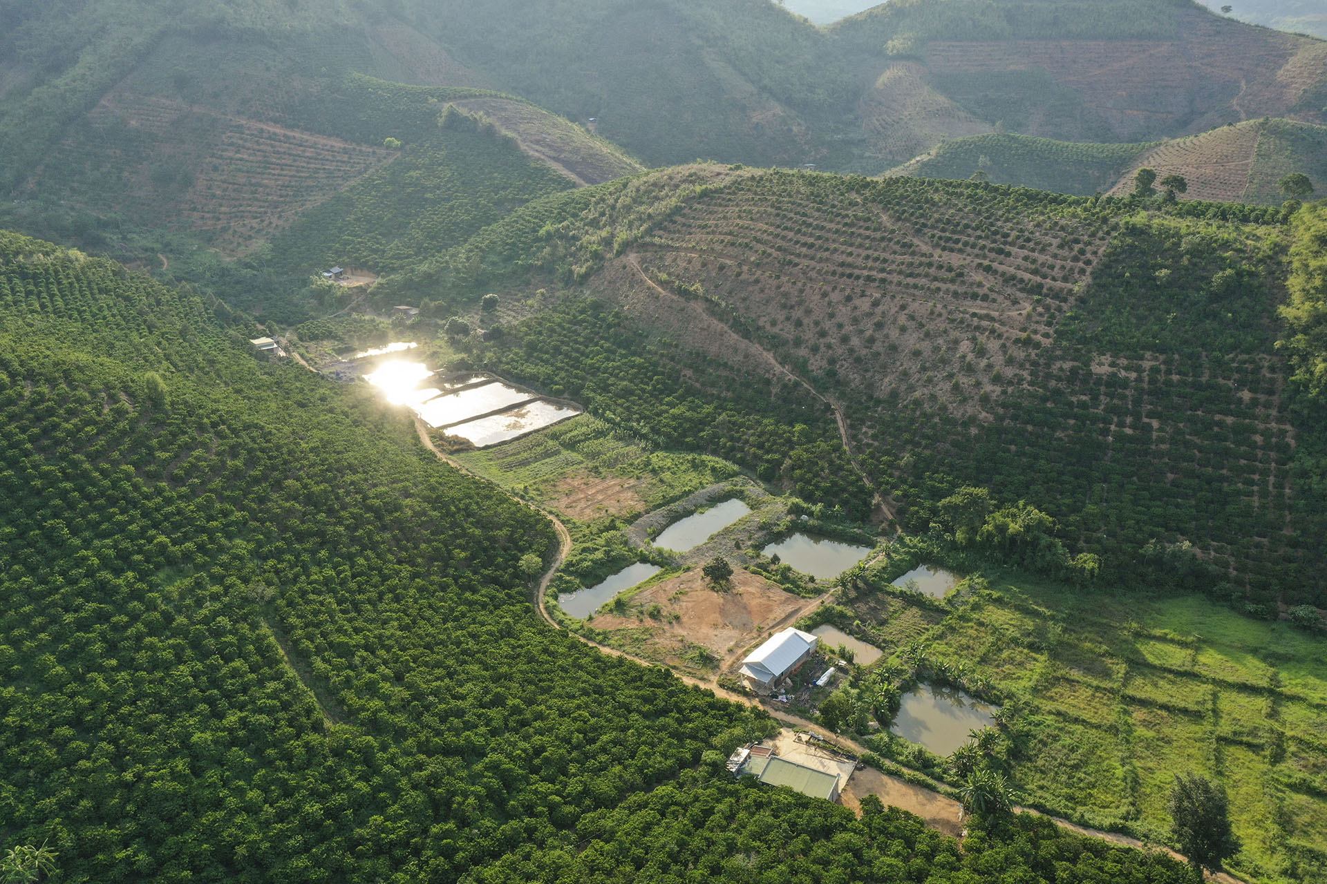 The Central Highlands region is an agricultural hub for Viet Nam. Photo credit: Cory Wright/UN-REDD Programme