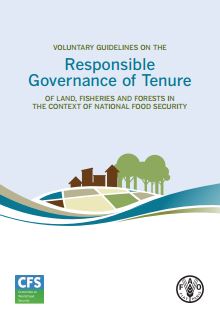 Voluntary Guidelines on the Responsible Governance of Tenure of Land, Fisheries and Forests (VGGT)