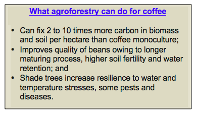 Forestland tenure: Addressing a key challenge