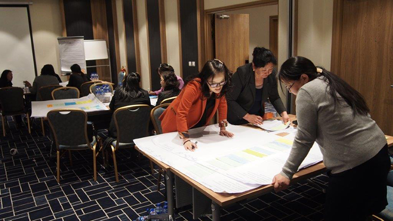 Mongoliaâs National Technical Working Group on Safeguards and Safeguard Information System in action. Credit: UNEP-WCMC