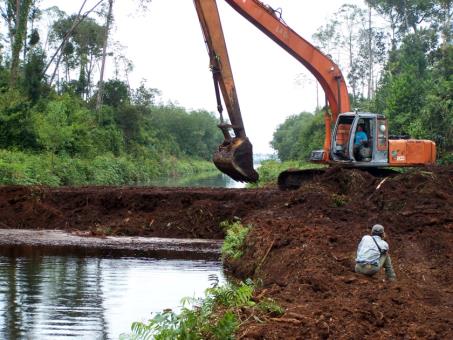 Compacted peat dams