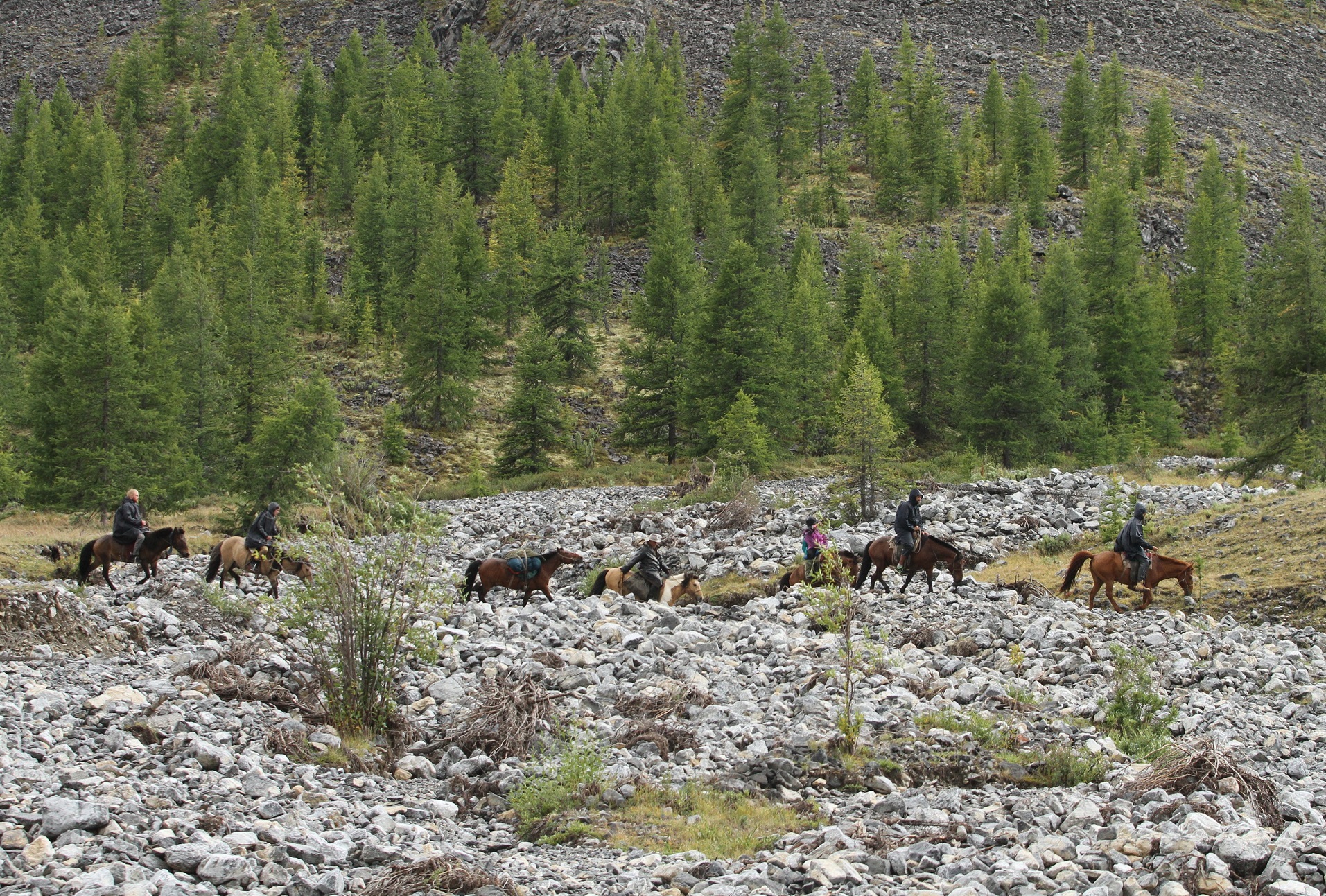 Horseback riding through Mongolia's boreal forests. Credit: Gantulga Tumurtulga
