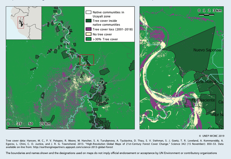 Indigenous communities in the Ucayali Zone, Peru. Empowered indigenous communities have resisted deforestation pressures.