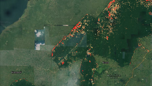 Using SEPAL, land cover change has been detected in Uganda. Here, deforestation in red and forest degradation in yellow are shown eating away at a forest over the period 2018â2019. This type of analysis, which can show change almost from one day to another and with a resolution in metres, can enable a near-real time understanding of change dynamics and drivers, and rapid and targeted response of the people managing forests.  (@ FAO)