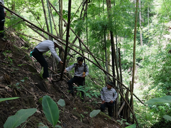 Forest inventory is sometimes physically challenging â here foresters of the Forest Department of Myanmar take measurements on a steep slope having made their way through thick vegetation in a bamboo forest. Having a quick and easy way to input and save your data is very valuable in the field â furnished by Collect Mobile and supported by the other Open Foris tools. (@Marco Piazza FAO)