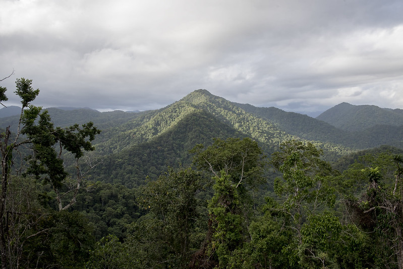 Aerial views over mountains and dense forests in Papua New Guinea. (Photo credit: Cory Wright/UN-REDD)