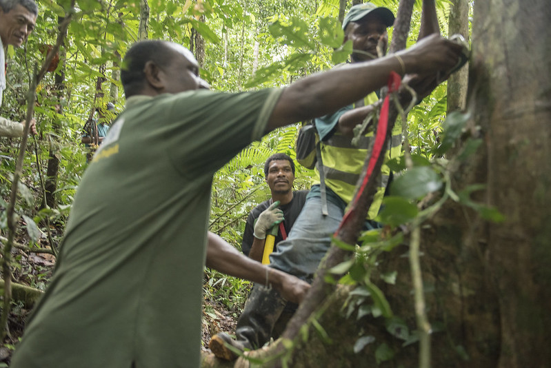 Safeguarding Papua New Guinea's Biodiversity | UNREDD Programme
