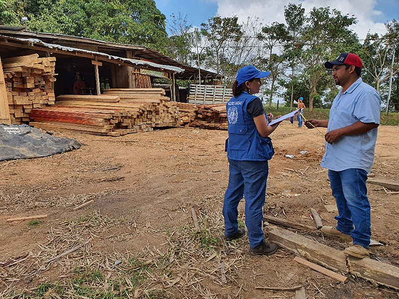 Visit to North-eastern AntioqueÃ±o sawmills during wood market studies
