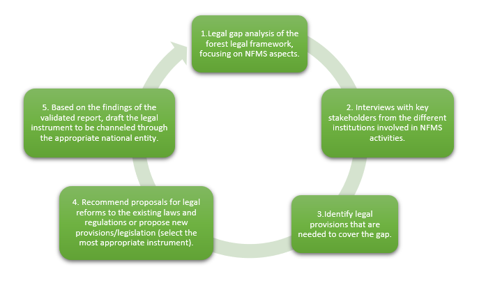 Legal steps to regulate a NFMS