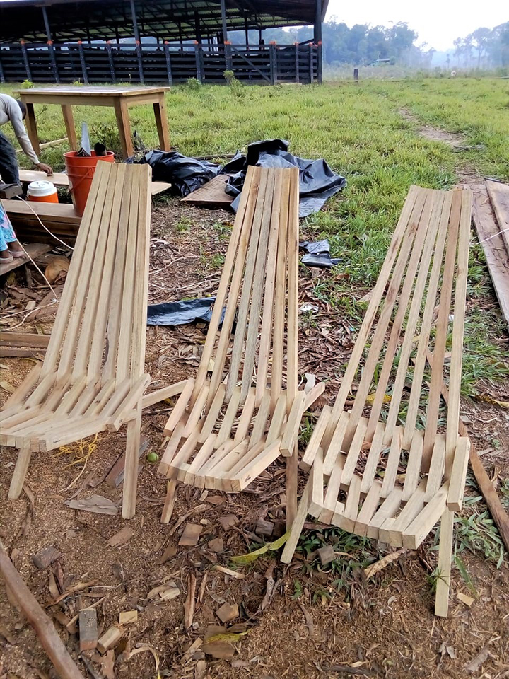 Voices from the field: Sustainable Forest Management through Community Forestry in Colombia