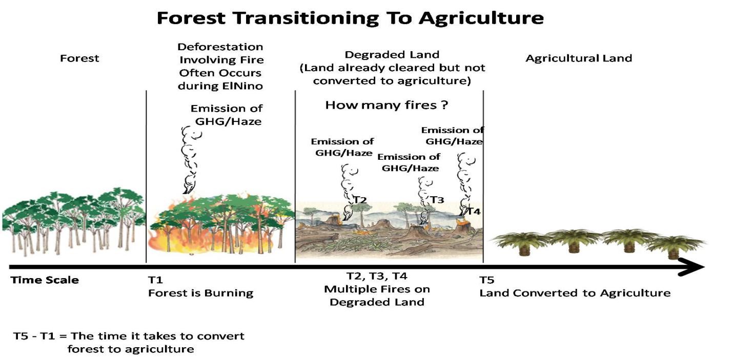 The reciprocal link between fire and climate 