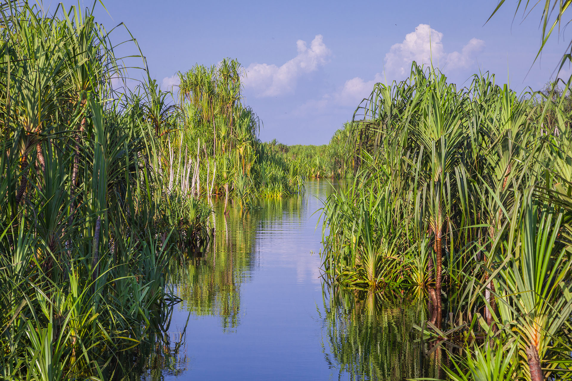 Carbon Farming Enables Nature-Based Solutions for Tropical Peat Degradation in a Post-COVID-19 World