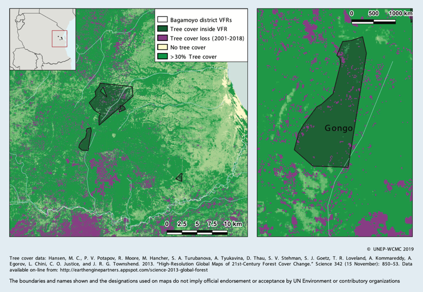 Bagamoyo district village forest reserves, Tanzania. Limited deforestation is observed within the village forest reserves indicated in dark green.