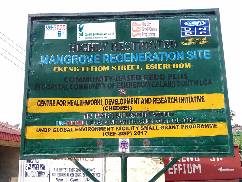 "One mangrove, a thousand hopes"- mangrove rehabilitation in Nigeria