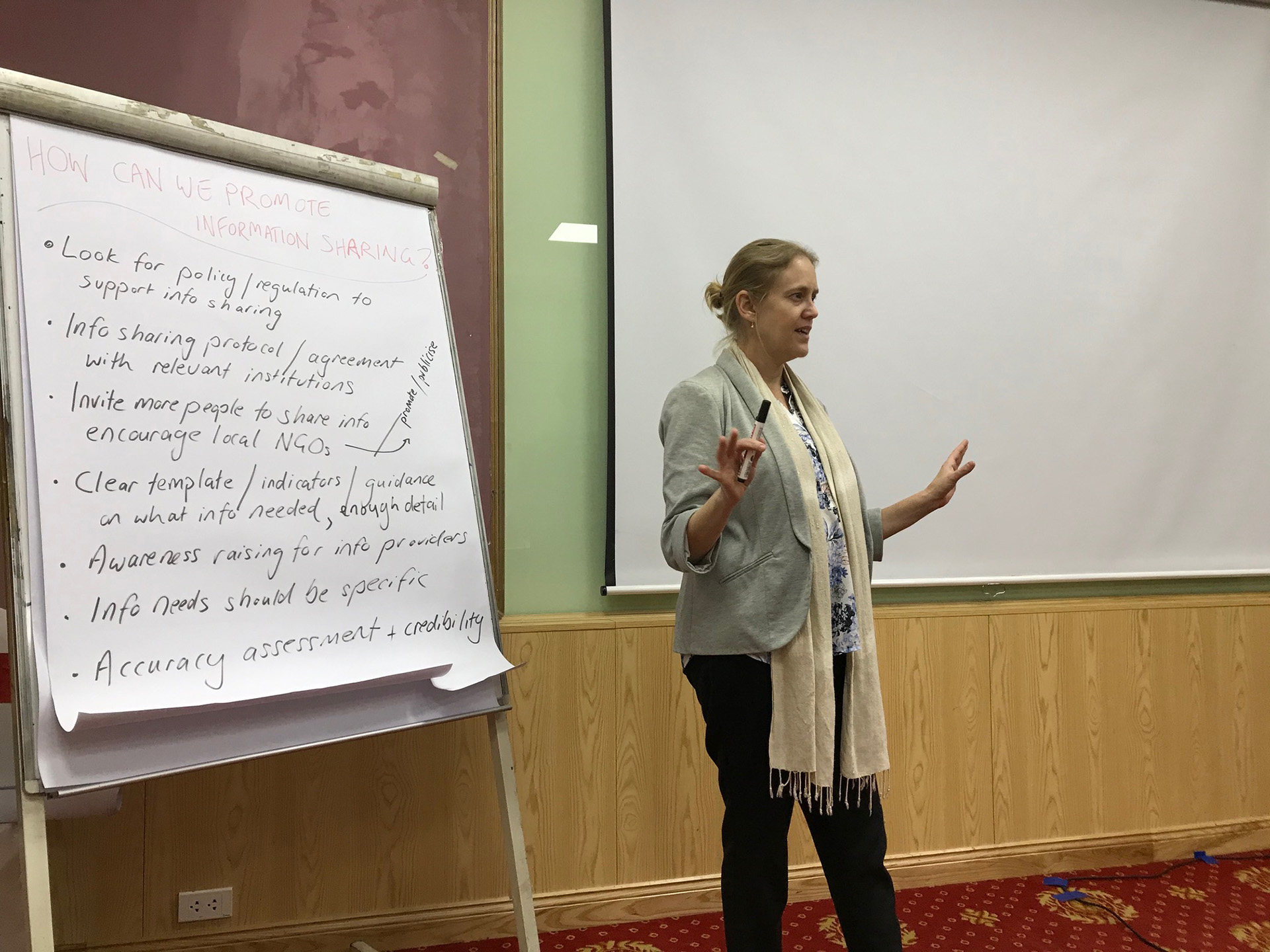 Charlotte Hicks from UNEP-WCMC facilitating a technical session on safeguards at the recent SIS workshop.