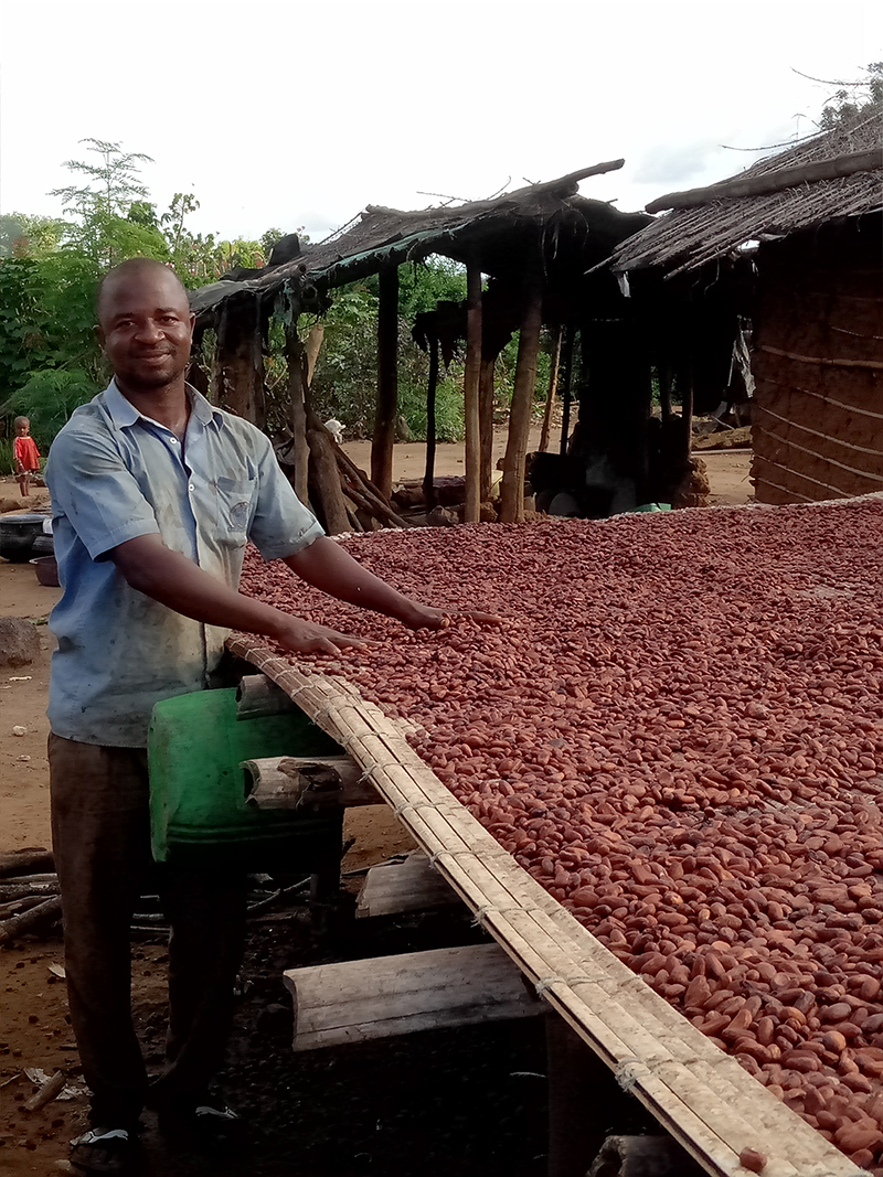 Bamba is drying his cocoa beans