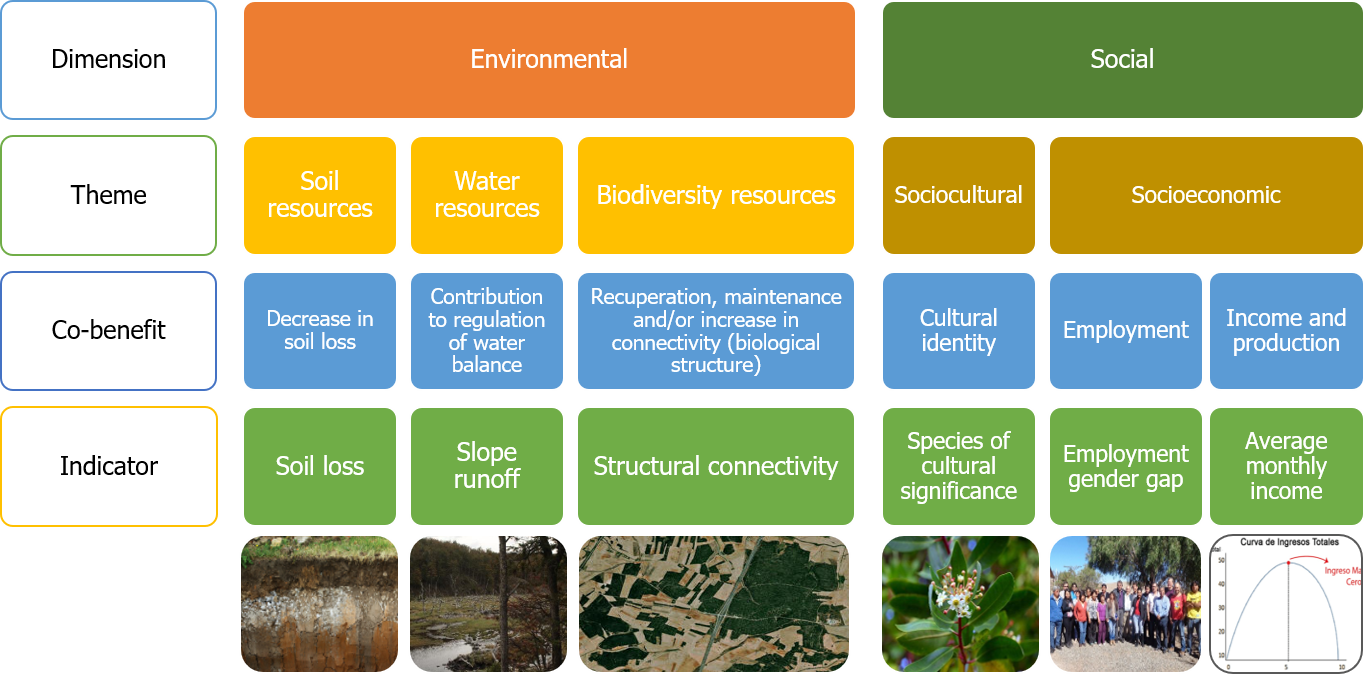Figure 1. Environmental and socio-economic co-benefits