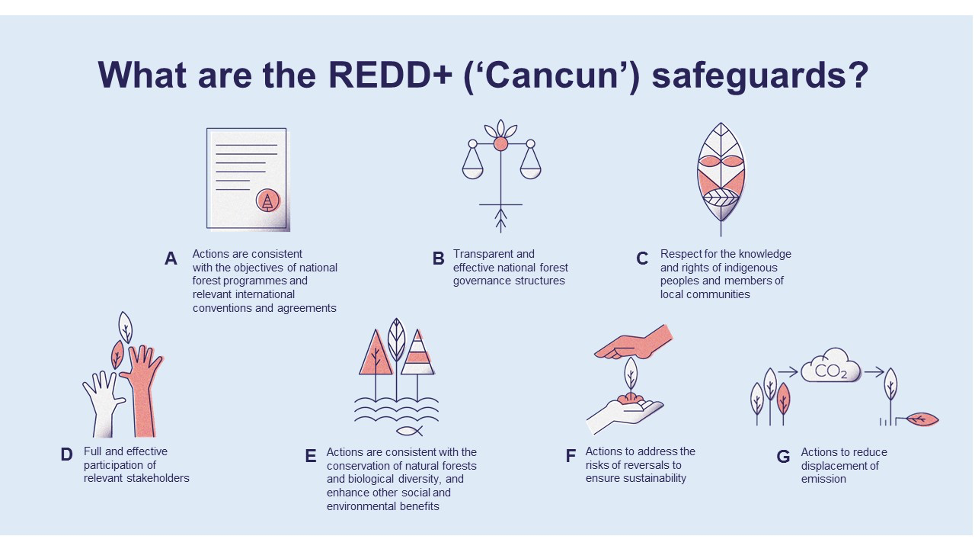 UN-REDD Programme