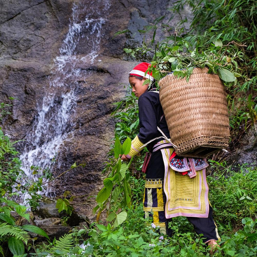 Viet Nam