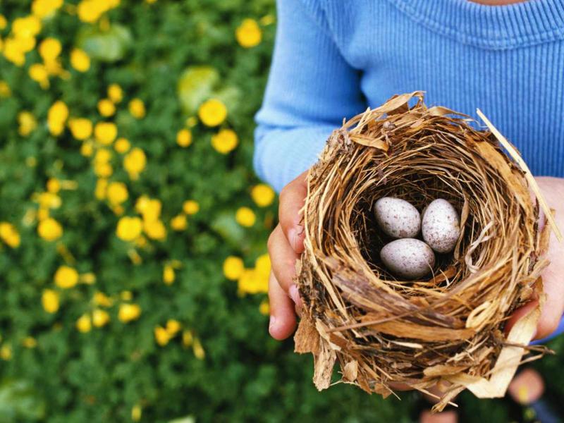 Nesting