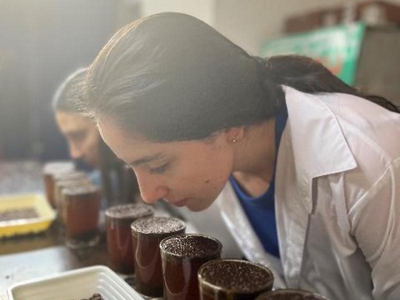 Control de calidad, Café Condor y Green Coffee Company, Colombia.