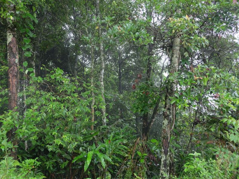 aaaa
