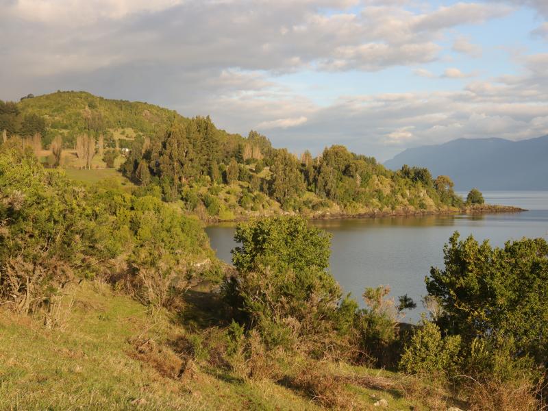 AAAA