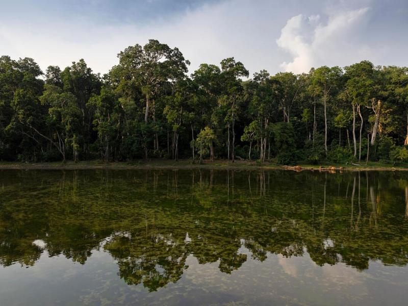aaaa