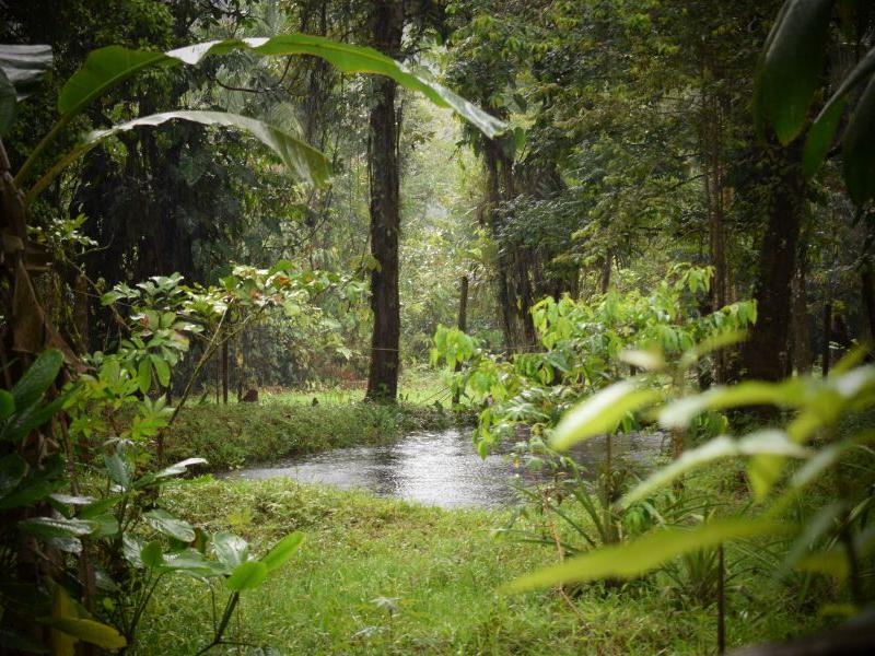 aaa