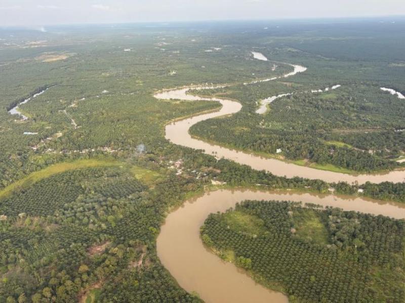 aaa
